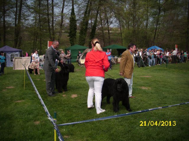 CACIB Pohorje, 21.04.2013 - foto