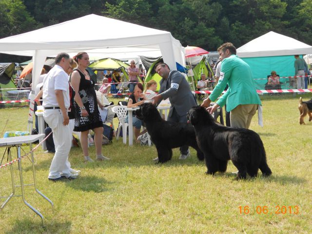 CACIB Bled, 16.06.2013 - foto