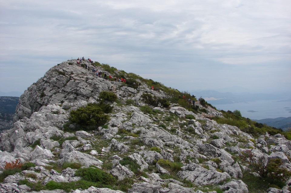 Prvi so že na vrhu.