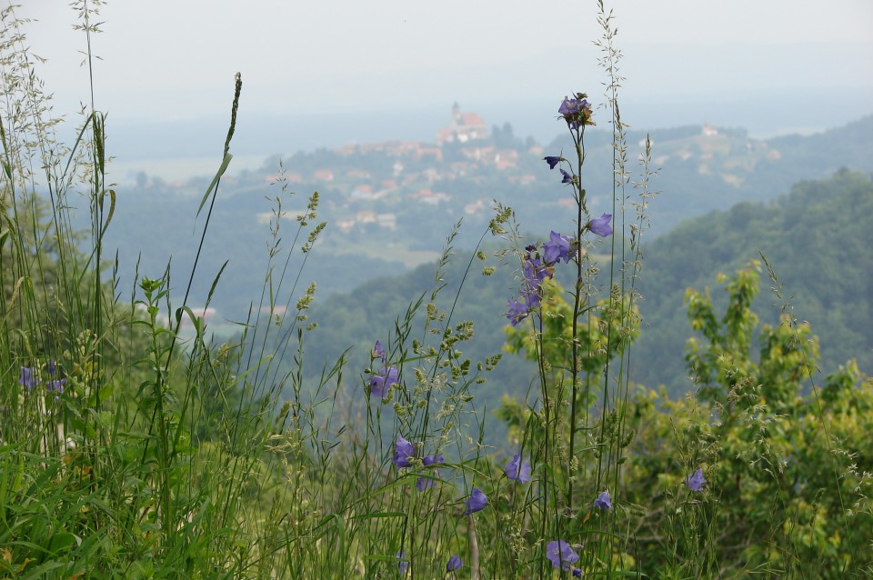 Od Narapelj na Donačko goro 24.5.2009 - foto povečava