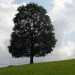 Stegovnik 19.9.2009