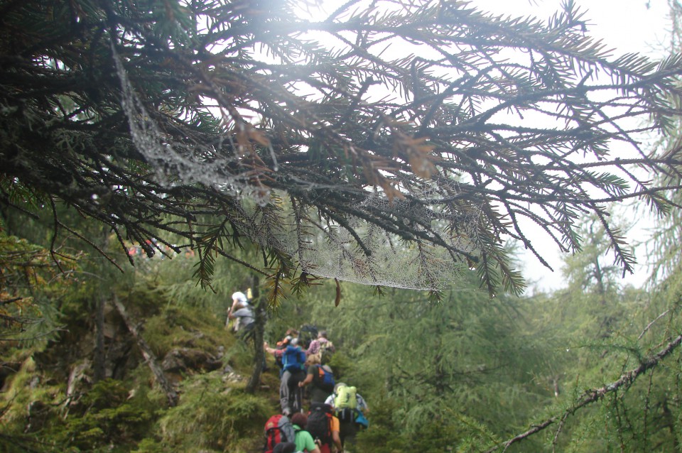 Stegovnik 19.9.2009 - foto povečava