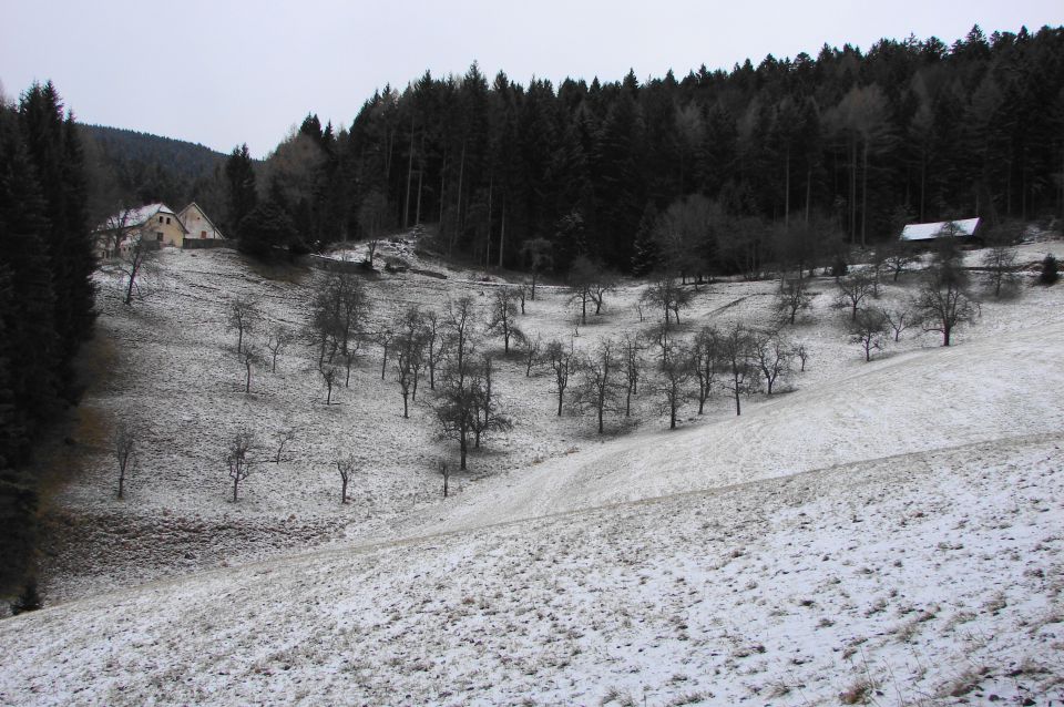Šmartno na Pohorju - Areh 2.1.2010 - foto povečava