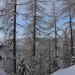 Pl.Podvežak, Pl. Vodole 8.2.2010 