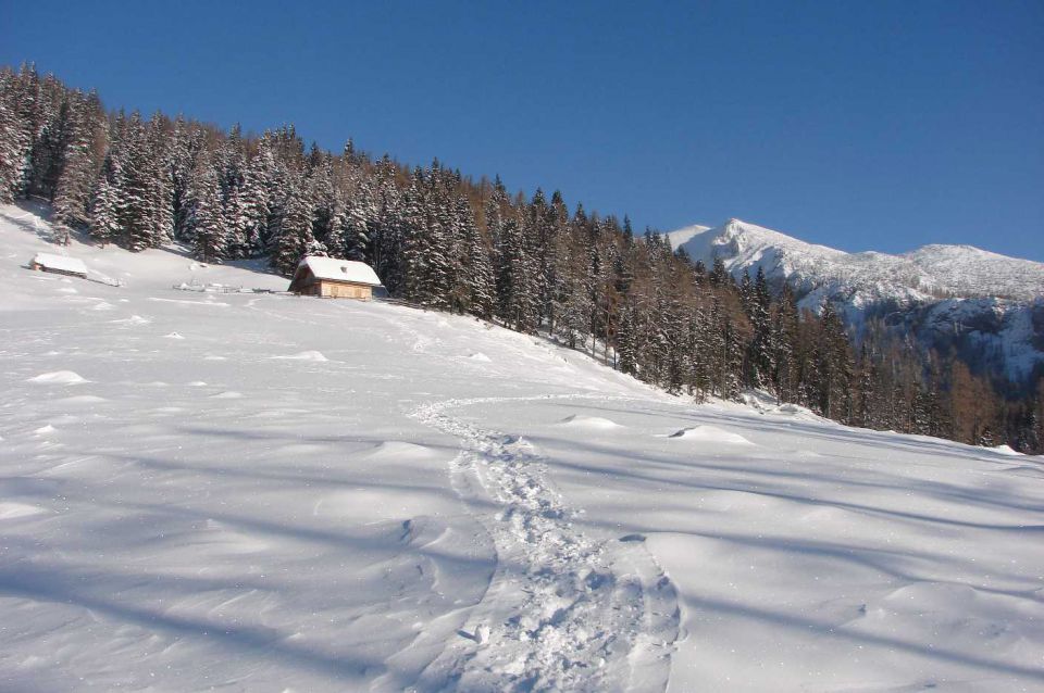 Pl.Podvežak, Pl. Vodole 8.2.2010  - foto povečava