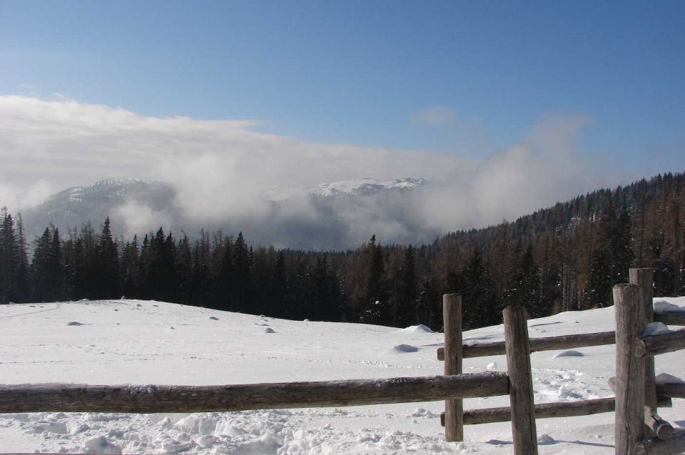 Pl.Podvežak, Pl. Vodole 8.2.2010  - foto povečava