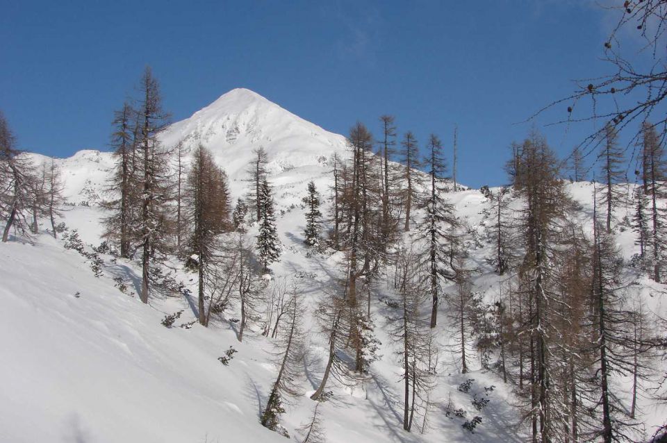 Pl.Podvežak, Pl. Vodole 8.2.2010  - foto povečava