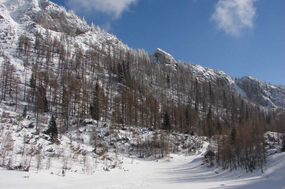 Pl.Podvežak, Pl. Vodole 8.2.2010  - foto povečava