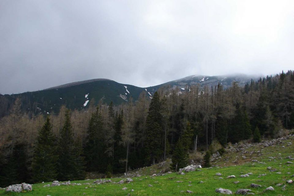 Lastovec-Deska-Vodotočnik-Korošica 9.5.2010 - foto povečava