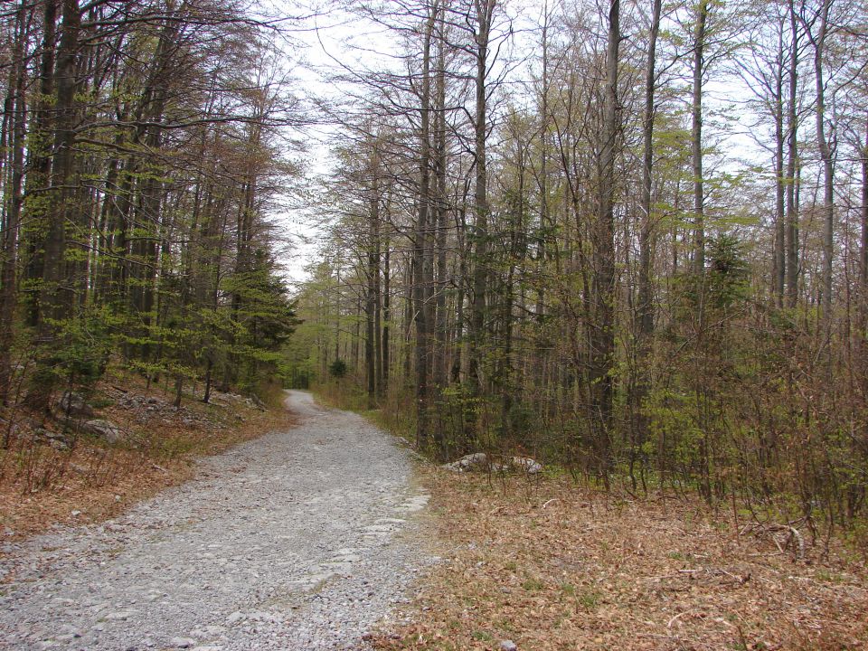 Snježnik - Guglica 25.4.2011 (Hrvaška) - foto povečava