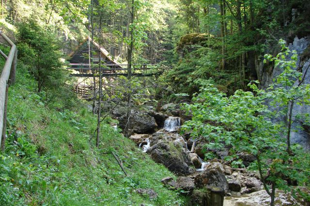 Baerenschutzklam-Hohlantsch 21.5.2011 - foto