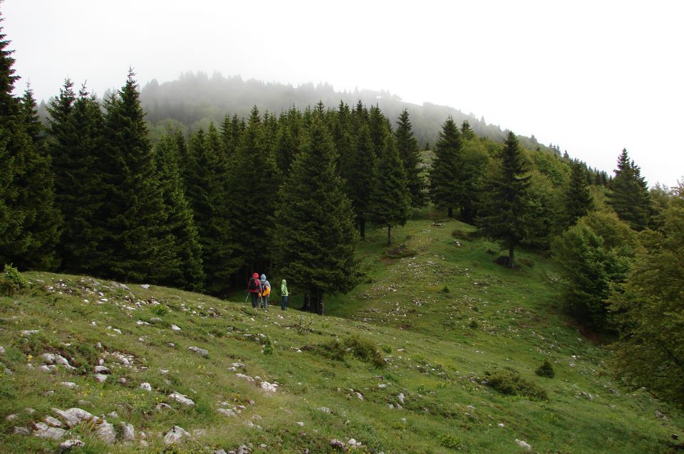 Soriška planina - Ratitovec 28.5.2011 - foto povečava
