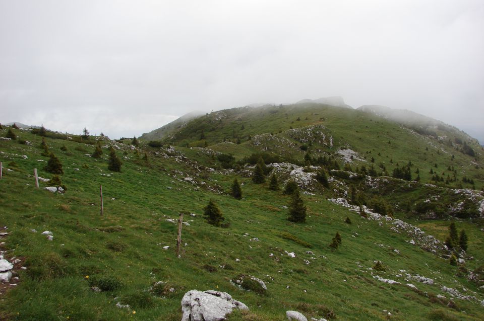 Soriška planina - Ratitovec 28.5.2011 - foto povečava