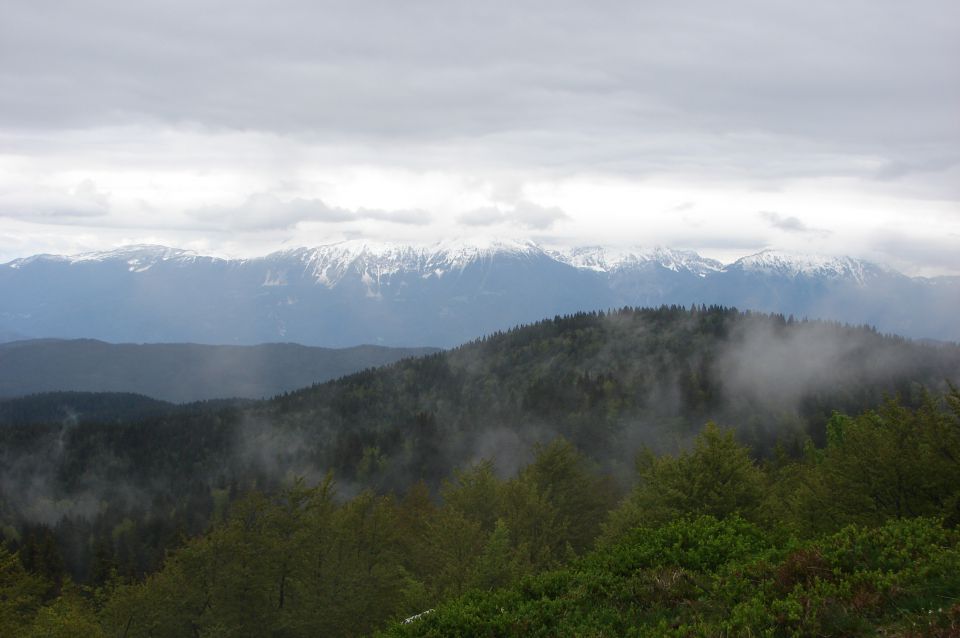 Soriška planina - Ratitovec 28.5.2011 - foto povečava