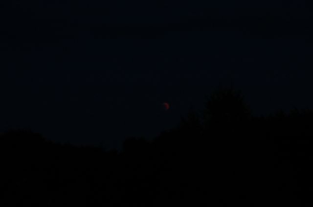 Lunin mrk 15.6.2011 - foto