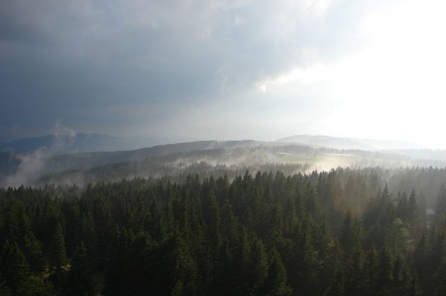 Rogla 18.7.2011 - foto