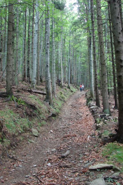 Rogla-Klopni vrh-Lovrenc-Lovrenška 19.7.2011 - foto