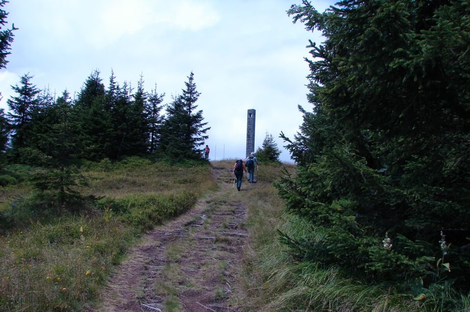 Rogla - Ribniška koča 20.7.2011 - foto povečava