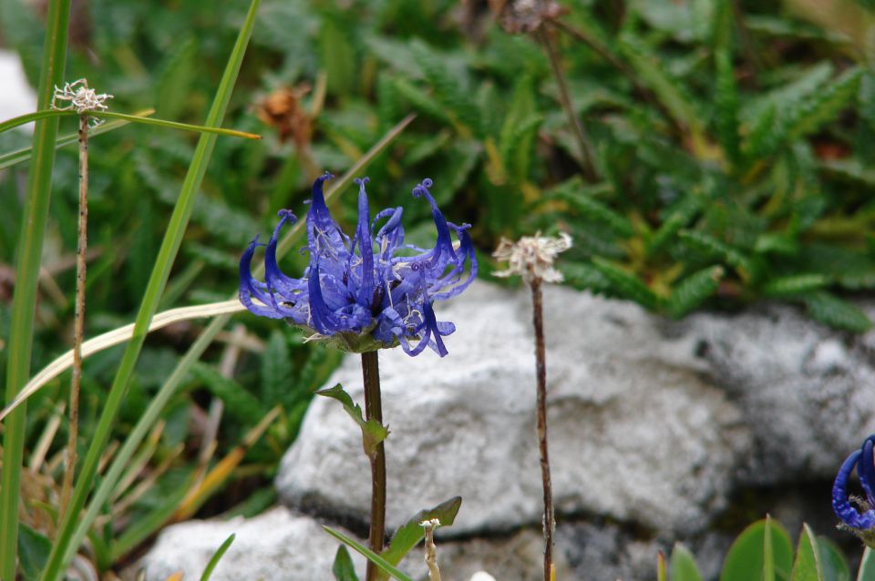 Ledinski vrh iz Jezerskega 30.7.2011 - foto povečava