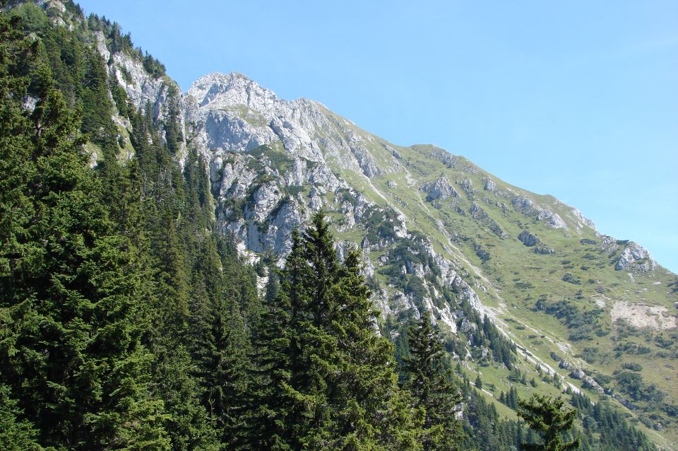 Storžič 14.8.2011 - foto povečava