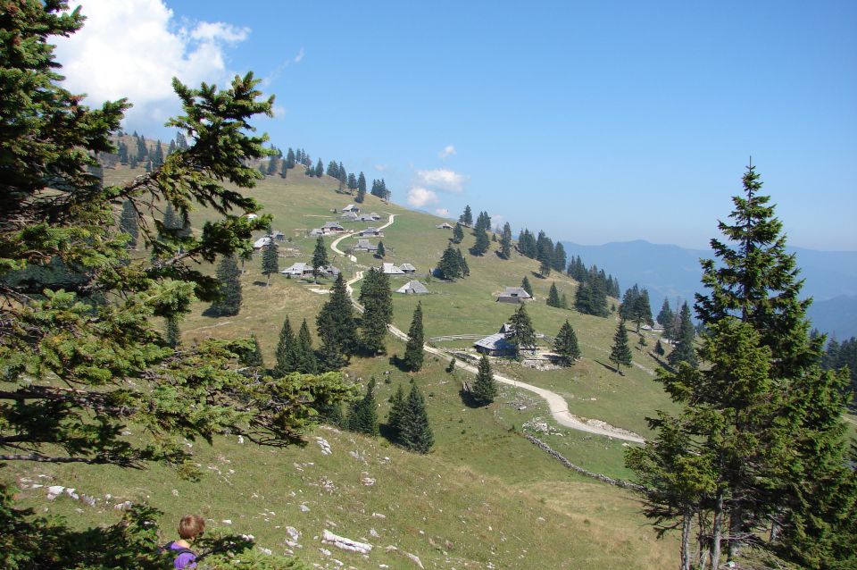 Velika planina 11.9.2011 - foto povečava