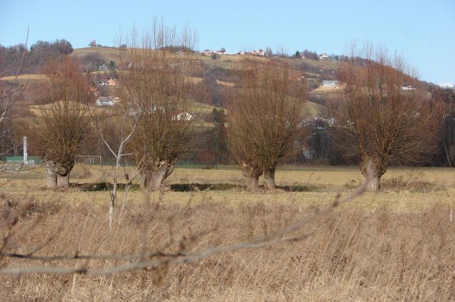 Goričko - Kuzma - Rogašovci 14.1.2012 - foto