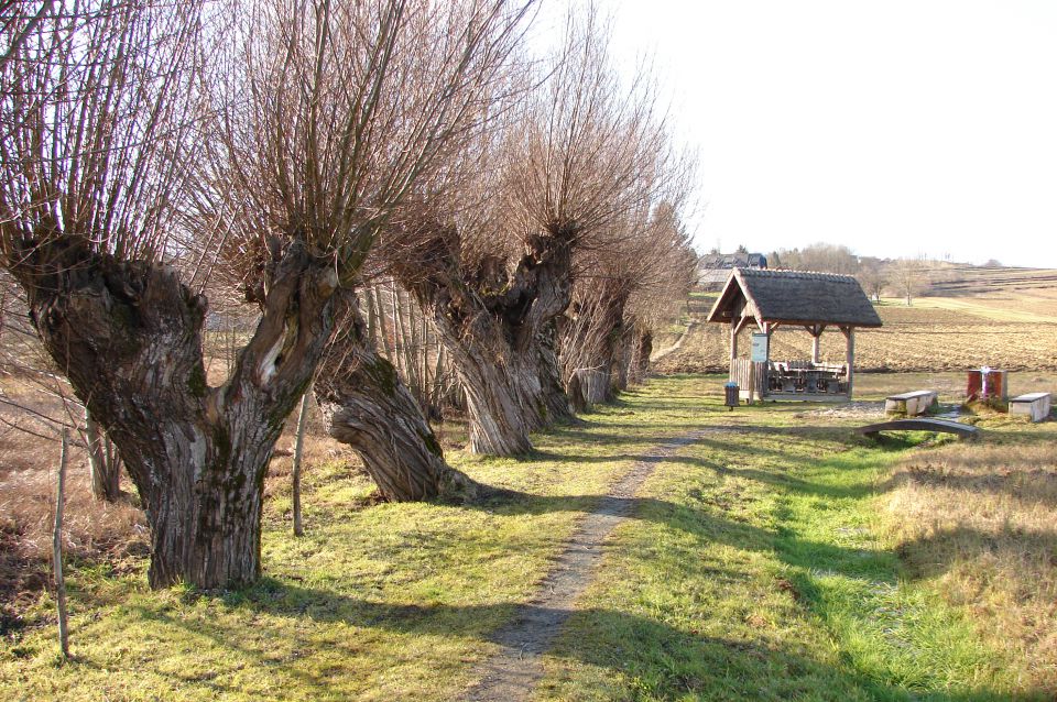 Goričko - Kuzma - Rogašovci 14.1.2012 - foto povečava