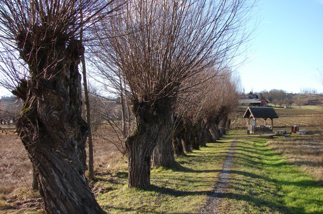 Goričko - Kuzma - Rogašovci 14.1.2012 - foto