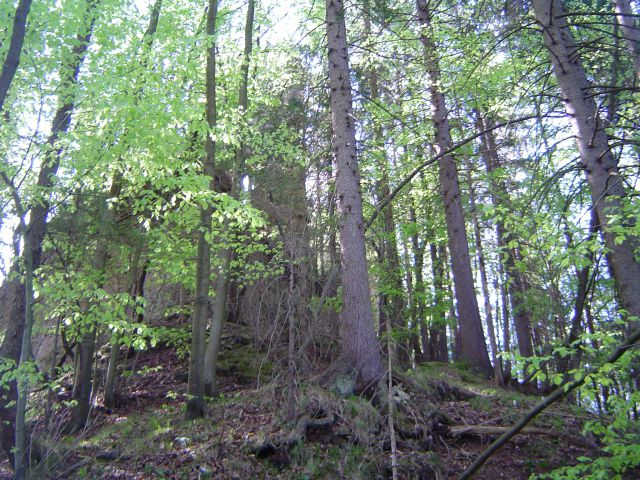 Dolič - Zavše - Graška gora 1.5.2012 - foto