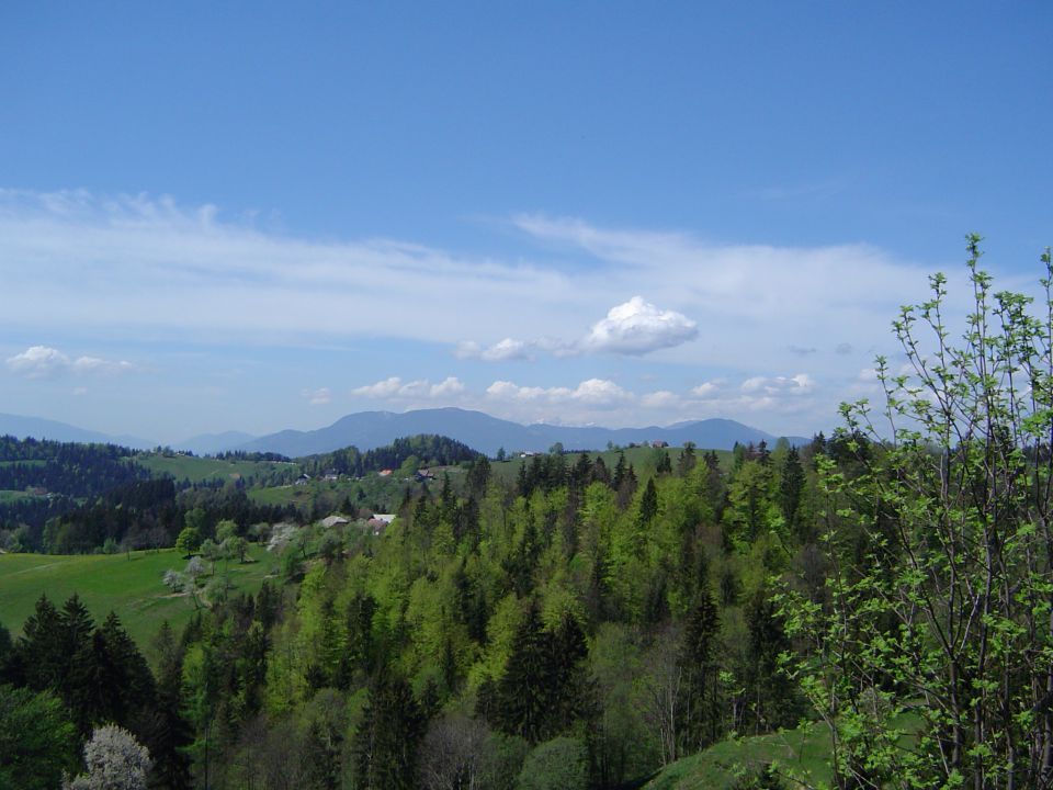 Dolič - Zavše - Graška gora 1.5.2012 - foto povečava