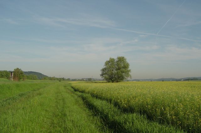 Pesniška dolina 12.5.2012 - foto