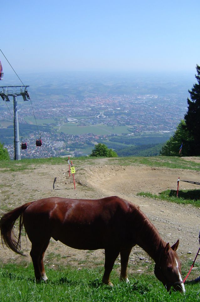 S kolesom na Pohorje 20.5.2012 - foto povečava