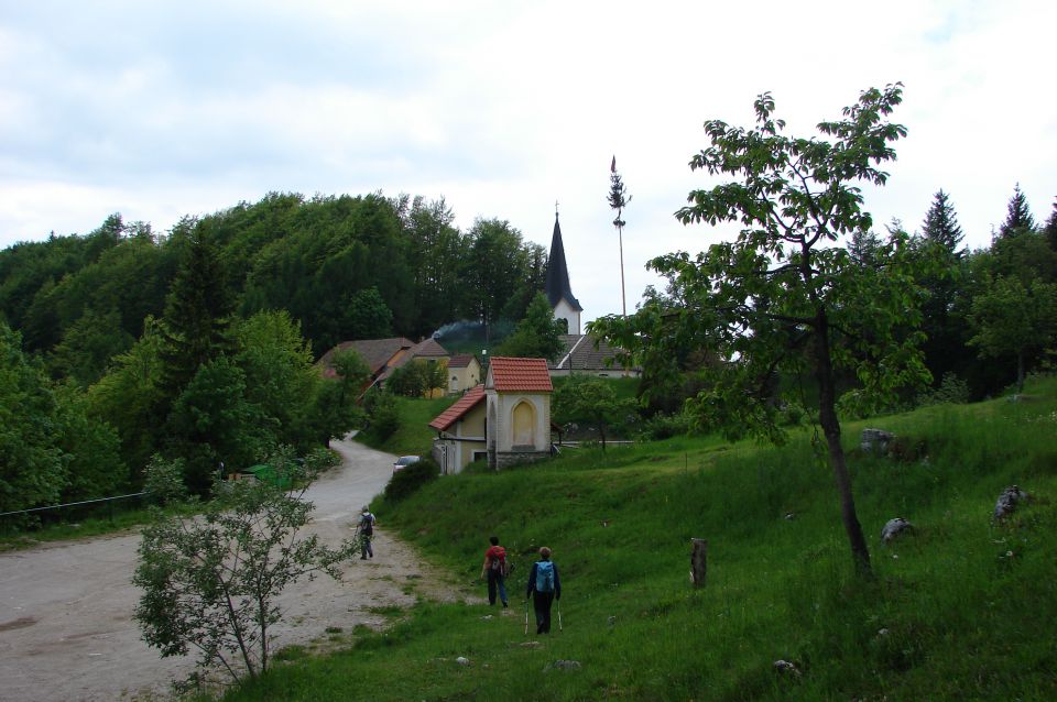 Paški Kozjak 26.5.2012  - foto povečava