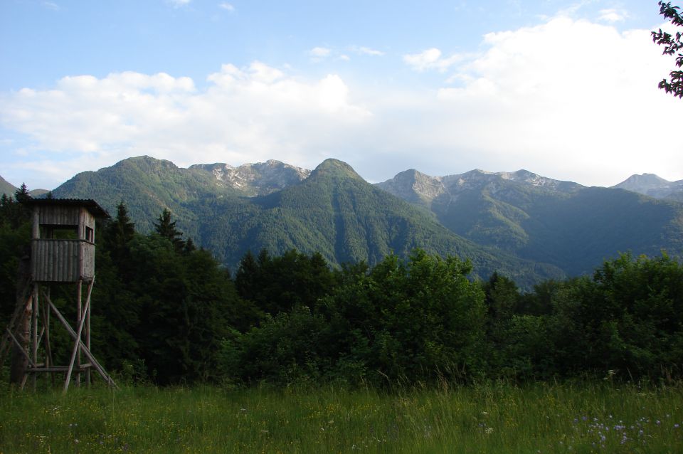 Rudnica 8.6.2012 - foto povečava