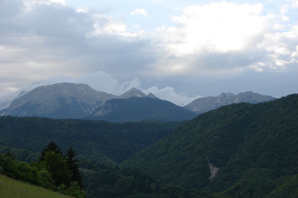 Rudnica 8.6.2012 - foto povečava