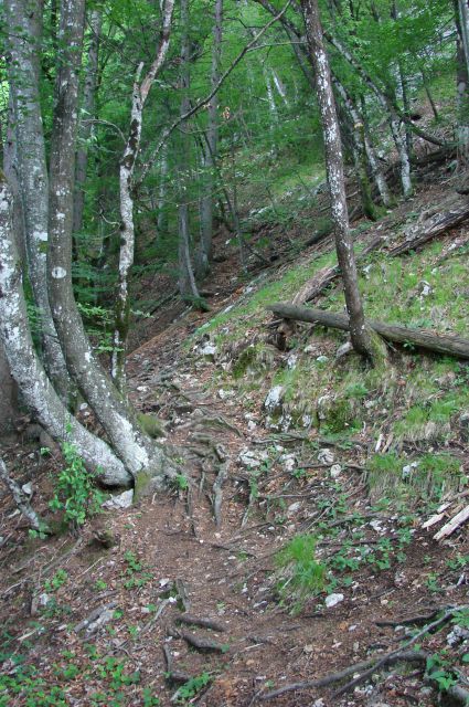 Rudnica 8.6.2012 - foto