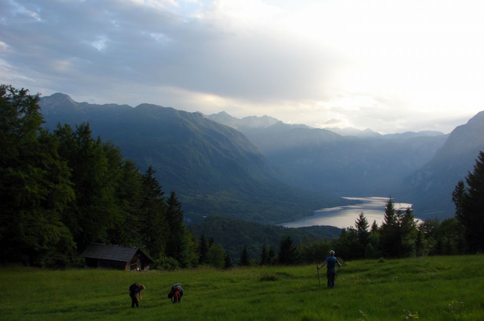 Rudnica 8.6.2012 - foto povečava