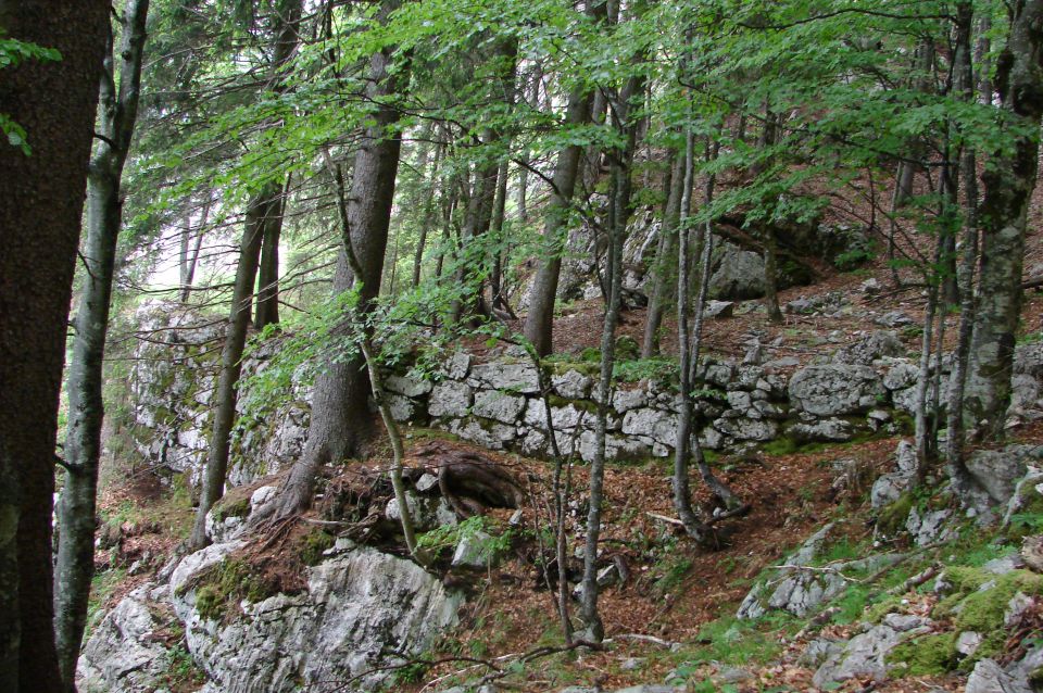 Črno jezero - Komna 9.6.2012 - foto povečava