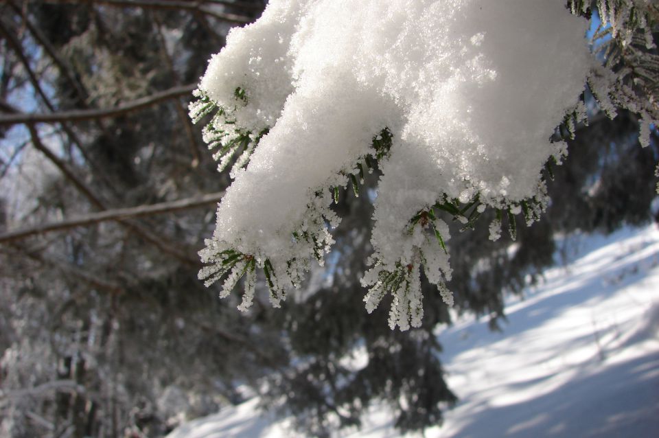 Velika planina 26.1.2013 - foto povečava