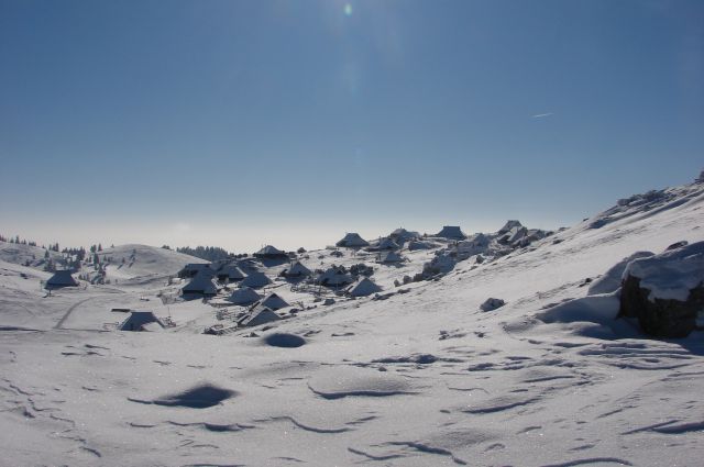 Velika planina 26.1.2013 - foto