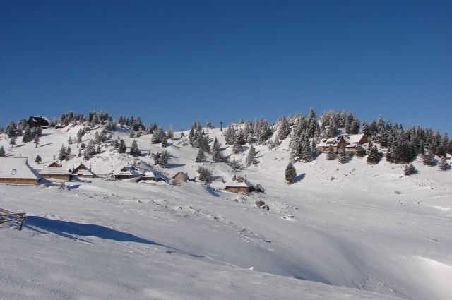 Velika planina 26.1.2013 - foto