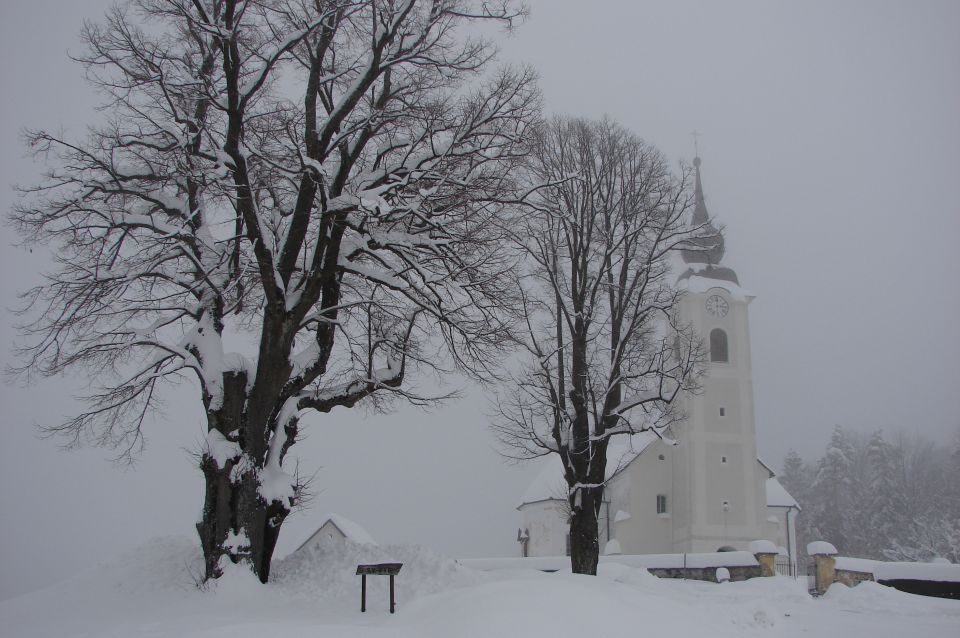 Dolič - Završe 24.2.2013 - foto povečava