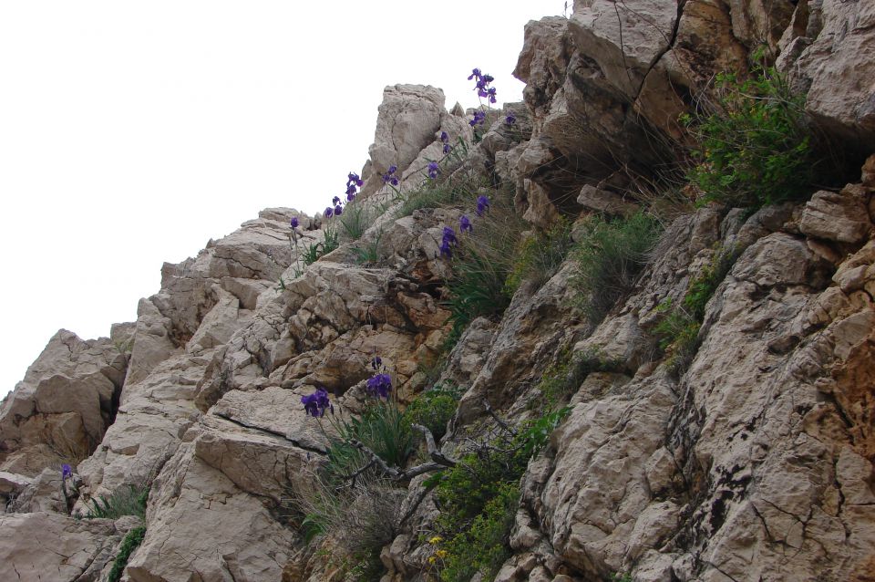 Baška-Vrženica-Diviška-Plato Meseca 29.4.2013 - foto povečava