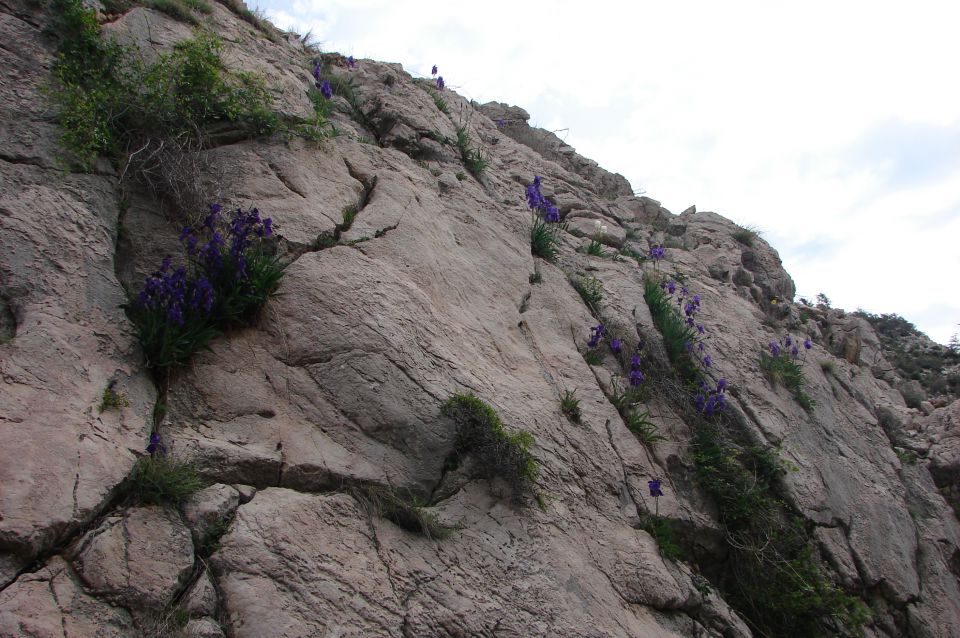 Baška-Vrženica-Diviška-Plato Meseca 29.4.2013 - foto povečava