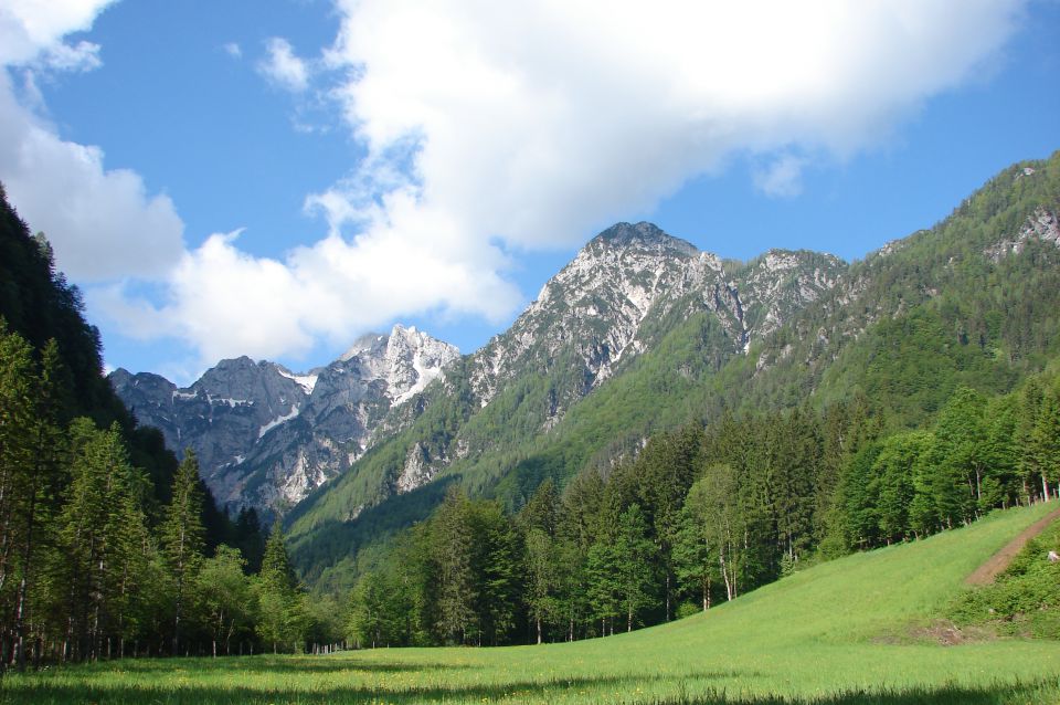 Matkov škaf 8.6.2013 - foto povečava