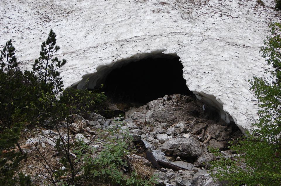 Matkov škaf 8.6.2013 - foto povečava