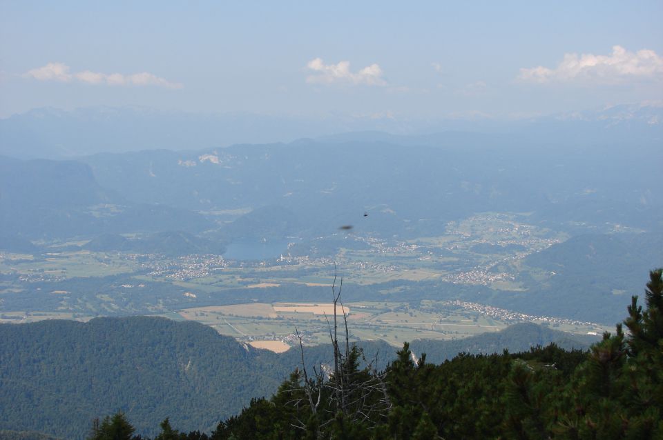 Begunjščica 20.7.2013 - foto povečava