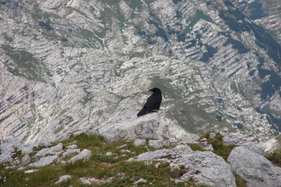 Tolminski kuk 15.8.2013 - foto povečava