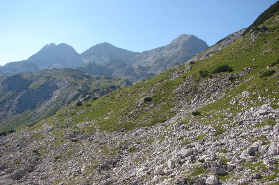 V.Bogatin - Lanževica 16.8.2013 - foto povečava