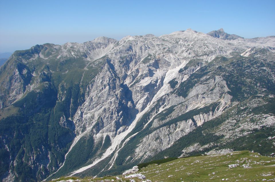 V.Bogatin - Lanževica 16.8.2013 - foto povečava